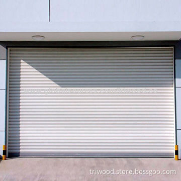 Garage Door with/Without Fire Rating, Electric or Manual Drive Available